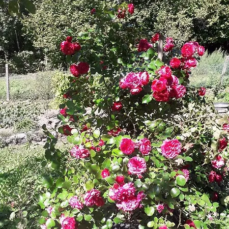 In 15380 דירה